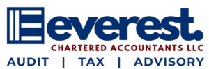 Professional Accounting and Auditing Services in Dubai,UAE