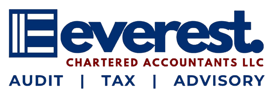 Professional Accounting and Auditing Services in Dubai,UAE