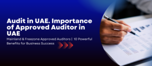 Approved Auditor in UAE